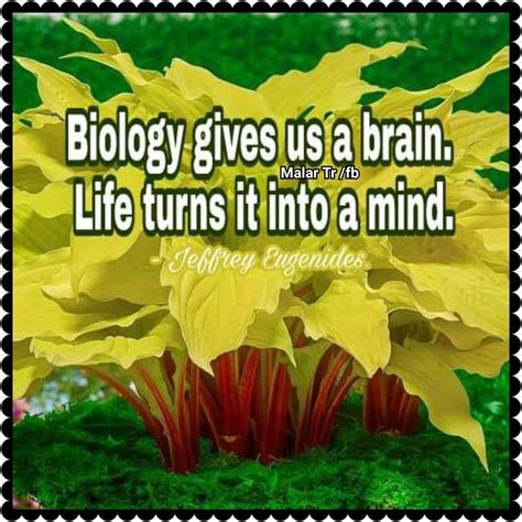 Pin By Malar Tr On Quotes In English English Quotes Biology Life