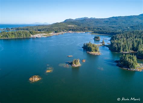 Prince Of Wales Island Prince Of Wales Island Is Black Bear Paradise