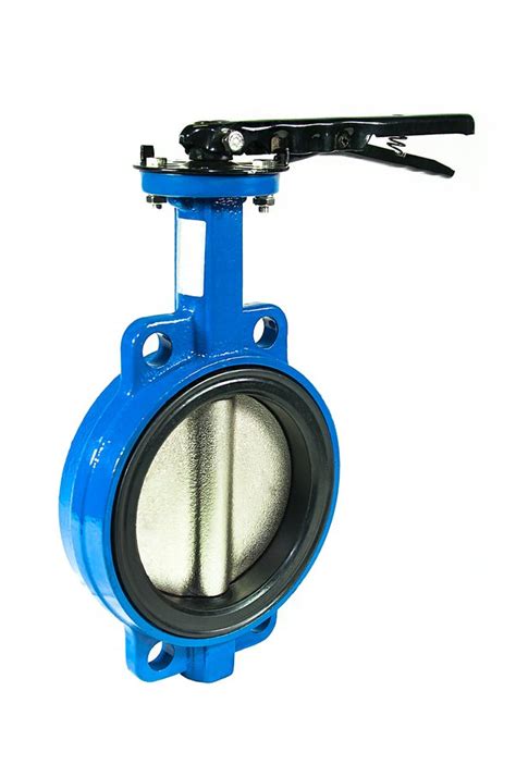 Butterfly Valve Life Expectancy Letisha Hills