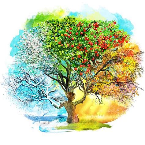 The Four Seasons Akvareller Natur Konst
