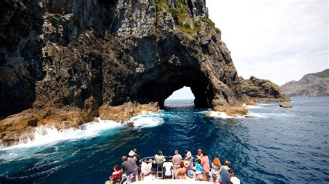 Things To Do In New Zealand North Island Kayak New Zealand