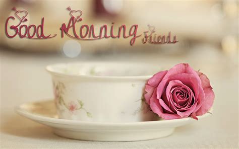 Send good morning text messages to a friend. 60+ Beautiful Good Morning Flower Images - Freshmorningquotes