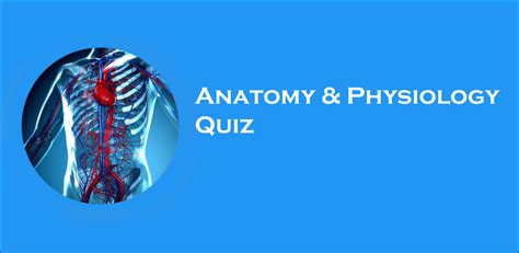 Download Anatomy And Physiology Quiz Free For Android Anatomy And