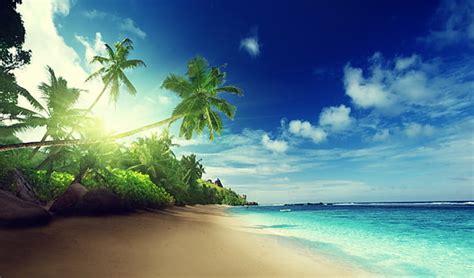 Hd Wallpaper Costa Rica Wild Caribbean Beach In Manzanillo Sandy Beach Ocean Waves Palm Trees