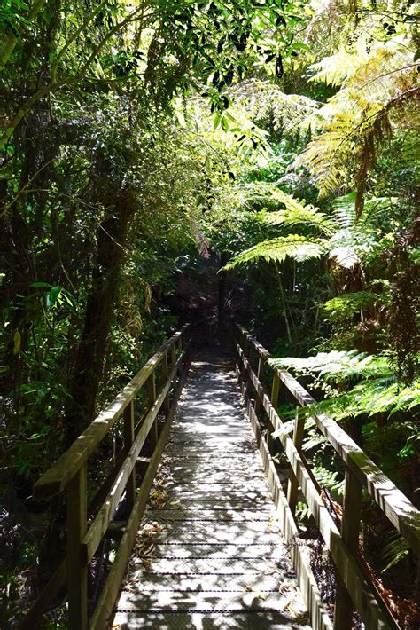 Hiking The Abel Tasman Coast Track Spin The Windrose Hiking New