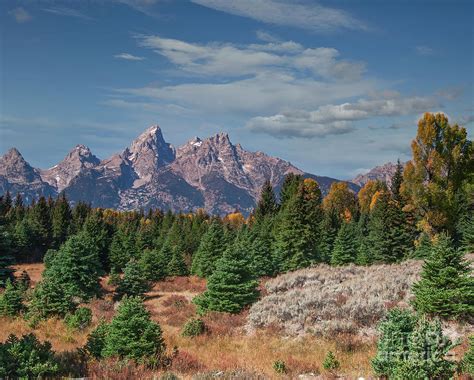 Autumn In The Tetons Photograph By Dale Erickson