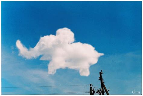 Sky Elephant By Christina Karchevskaya Angel Clouds Sky And Clouds Angel Pictures Cool