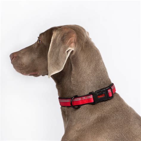 Red collar pet foods is a leading manufacturer of premium and mainstream private label and contract pet food and treat products. Halti Dog Collar Red From £5.99 | Waitrose Pet