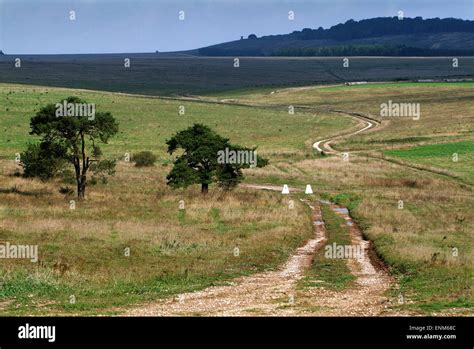 Salisbury Plain Wiltshire Uk Used As A Military Training Area By