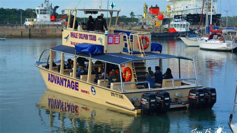 advantage cruiser cc t a st lucia tours and charters richards bay whale and dolphin watching