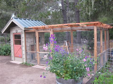 a chicken coop that enhances the garden central coast gardening