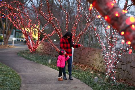 State Botanical Garden To Become Winter Wonderlights In December Uga