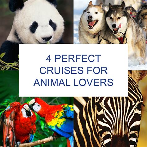 From Land Excursions To Aquatic Adventures Our Cruises Make Animal And