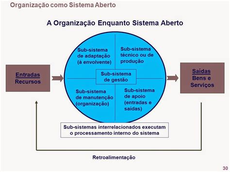 Muitas Organizações Tem Efetuado Análises Ou Auditorias Ambientais Para Avaliar