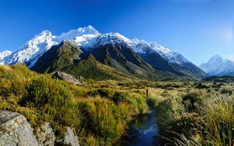 Government website about living, working, studying and investing in new zealand. New Zealand lead-xlarge - EFTPOS NZ