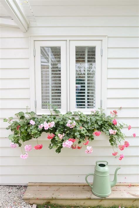 Whether you are packaging and selling pies, cakes, donuts, or your signature muffins, this box is sure to do the trick! 26 Best Window Box Planter Ideas and Designs for 2021