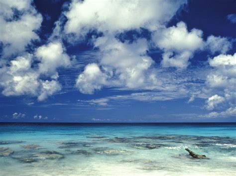 Clear Blue Water Of The Caribbean Sea Caribbean Beaches Bonaire