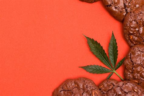 Orange Cookies Cannabis Strain Review Industrial Hemp Farms