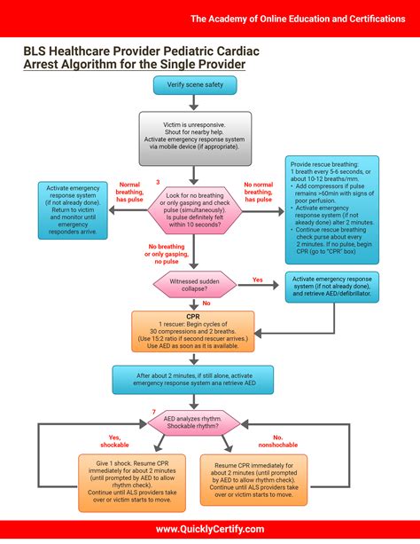 Pediatric Advanced Life Support Algorithms The Academy Of Online