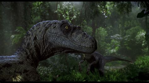 Jurassic Park 3 Velociraptor Wallpaper