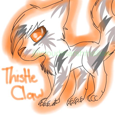 Thistleclaw For My Fanfic By Cloudmarshmallowukat On Deviantart
