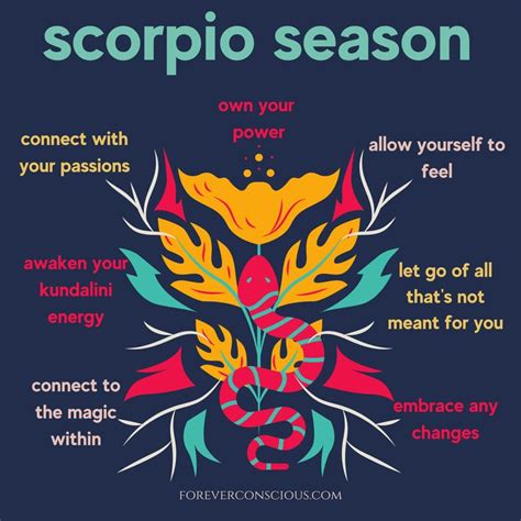 The Zodiac Sign For Scorpio Season