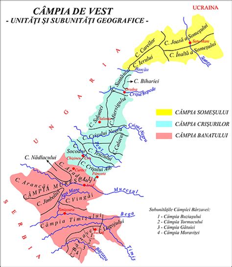 Geografia Romaniei Relieful Campia De Vest