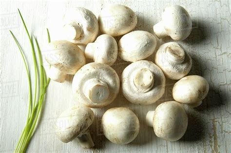 Fresh Button Mushrooms And Chives Stock Photo Dissolve