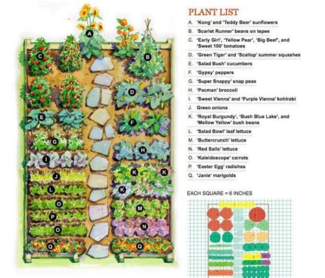 How To Lay Out A Garden Vegetable Garden Layout Gardening Flowers