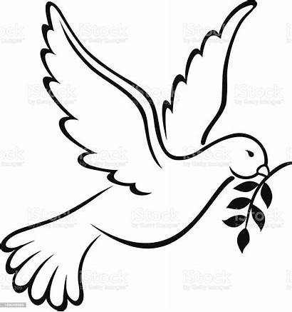 Dove Peace Symbol Earth Vector Illustration Istock