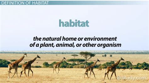 Habitat indicates a specific place where a species or population normally lives in nature, it is a physical area, some particular part of the earth's surface, air, soil or water. What Is Habitat? - Definition & Explanation - Video ...