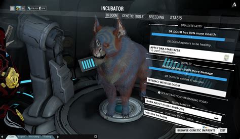Beautiful Blue Red Bulky Lotus Kubrow Auction Trading Post