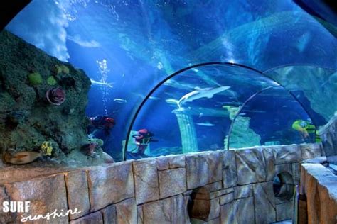Sea Life Aquarium Legoland A Wondrous Discovery