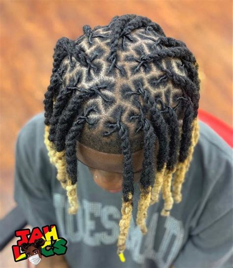 Pin By James Dye On 2 Strand And Locs In 2022 Dreadlock Hairstyles