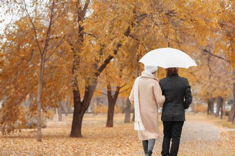 Romantic Couple With Umbrella Walking In Park Stock Image Image Of