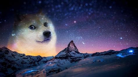 76 Doge Meme Wallpapers On Wallpaperplay Foto En Dibujo Wallpaper