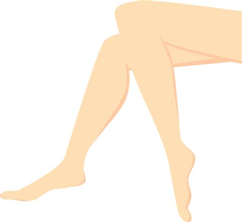 Legs And Feet Clipart Free Download Transparent Png Creazilla
