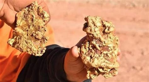 Two Gold Nuggets Worth 350000 Found By Treasure Hunters