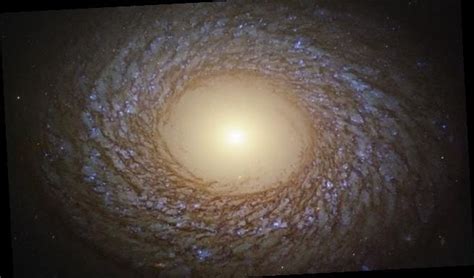 From wikimedia commons, the free media repository. Stunning image reveals a 'fluffy galaxy' 67 million light ...