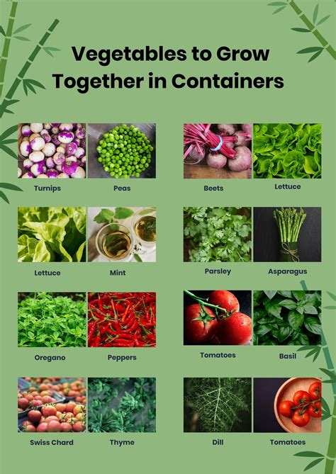 Container Companion Planting Chart In Pdf Illustrator Download