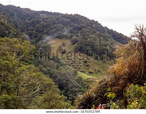 Tropical Mountain Forest Cerro De La Stock Photo 1670352784 Shutterstock