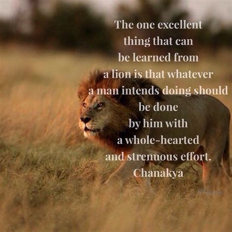 The One Excellent Thing That Can Be Learned From A Lion Is That Whatever A Man Intends Doing