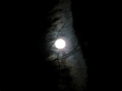 Jul 13, 2021 · but even with these apps you might be a little disappointed with the outcome. Taking the photos of Moon | Photo HowTo