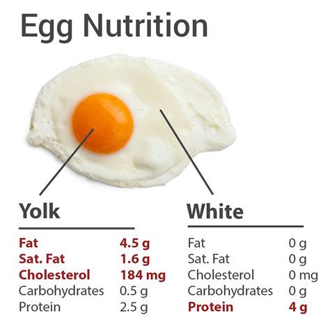 How Many Calories Are In An Egg White Omelet Design Corral