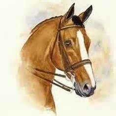 842 x 595 jpg pixel. paarden tekeningen - Google zoeken - paarden tekeningen ...