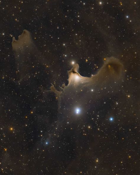 The Ghost Nebula In Cepheus Pictures Info And Location