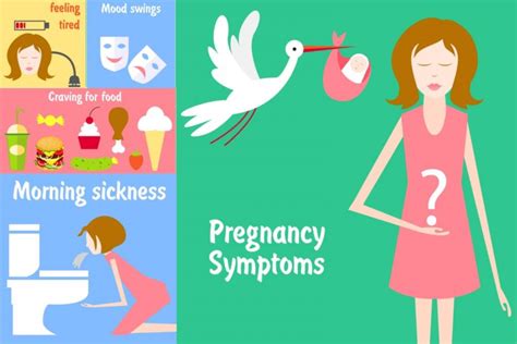 5 Weeks Pregnant Pregnant Women Symptoms Info Graphic Babies Carrier