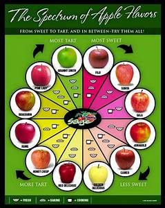 Infographic Collection Food Cooking Apple