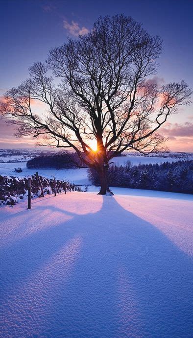 Best 20 Winter Landscape Ideas On Pinterest Beautiful