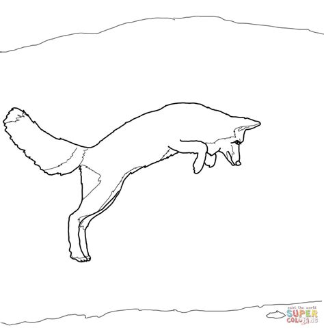 27 Realistic Arctic Fox Coloring Pages